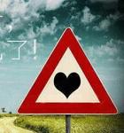  猩猩实验后遭丢弃 ,悲惨存活 - 法律法规网