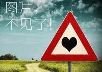  国人赏樱不文明 折樱踹樱太常见 细说 国人赏樱 