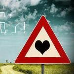 小猫咪守护癫痫狗哥哥 在它发作前后舔眼睛和