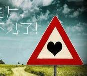  小伙养3万条蛇  [聚焦] - 法律法规网