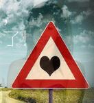  巩新亮 _巩新亮潜规则_ 巩新亮学历 _鸭子网|肉鸭