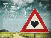 男子携带700万现金入境未提前申报被缴,需承担